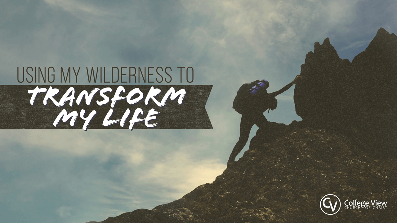 Using My Wilderness To Transform My Life